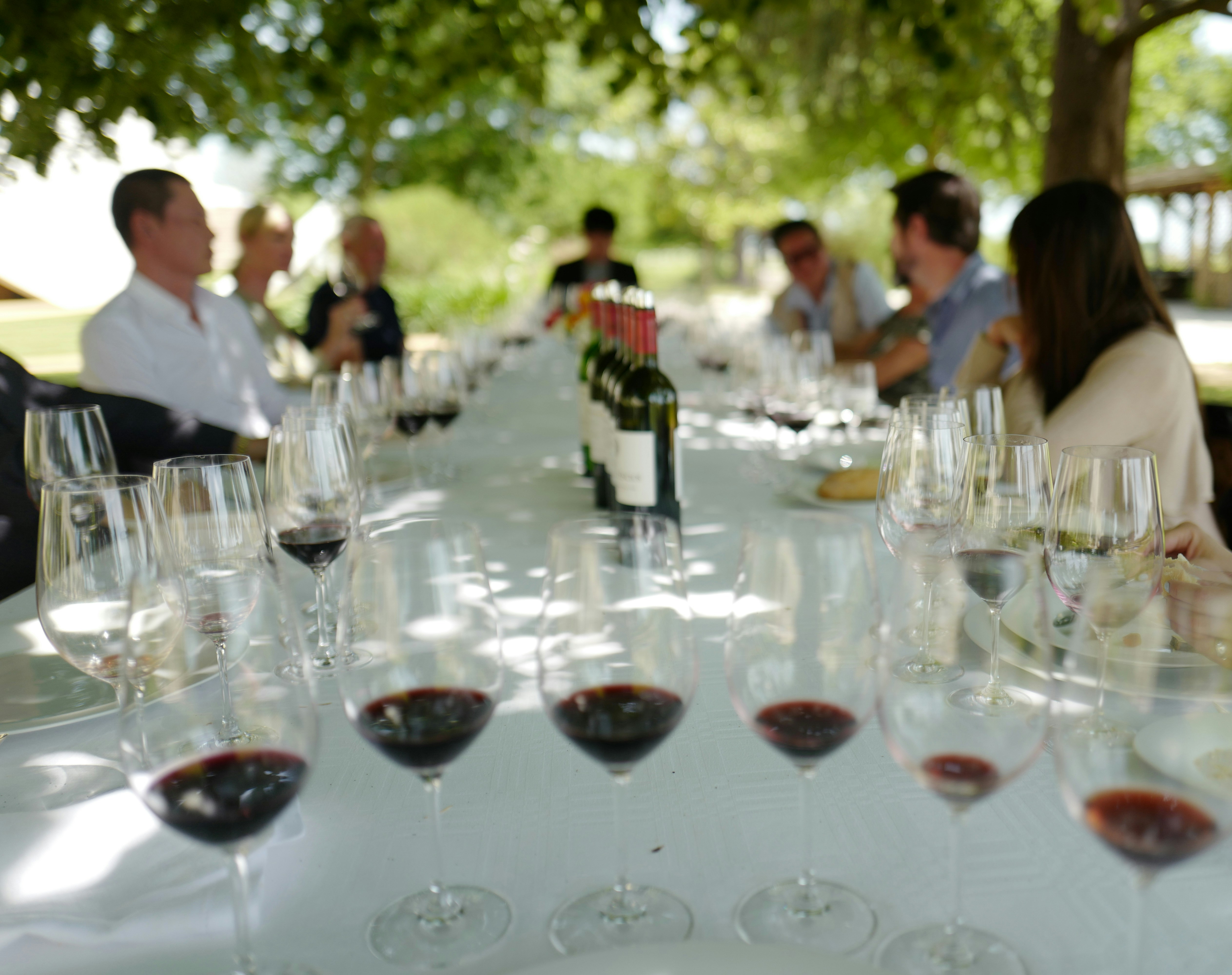 Private food and wine experience in Bologna